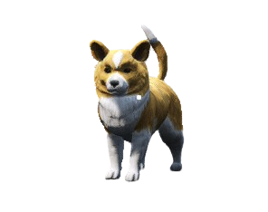 Corgi (30 Dias)