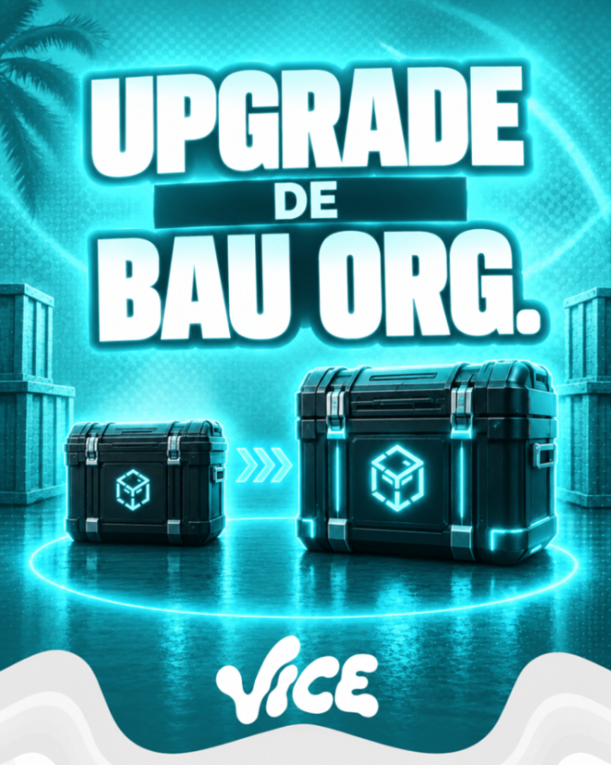 UPGRADE DE BAU ORG