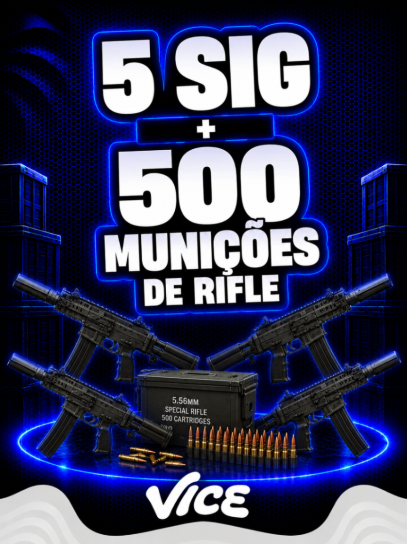 5 SIG + 500 Munições